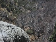 qua Rocca20100328 044